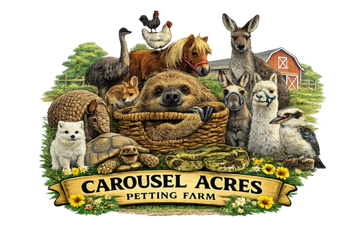 Carousel Acres logo