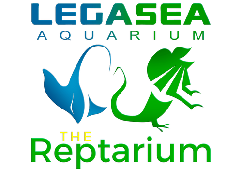 Legasea Aquarium logo