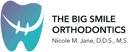 The Big Smile logo
