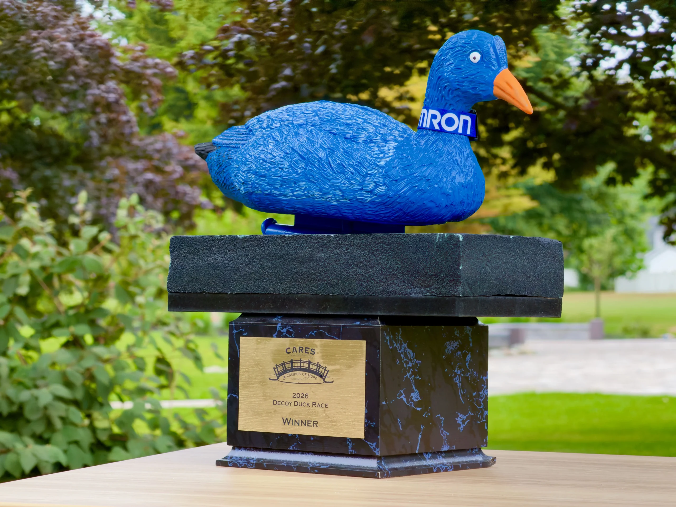 Omron's 1st place decoy duck
